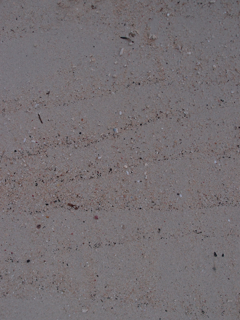 2015-10-04 Sand Komposition 3 (Foto)